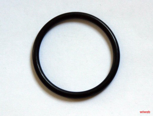 Уплотнительное кольцо  поршня (4450)